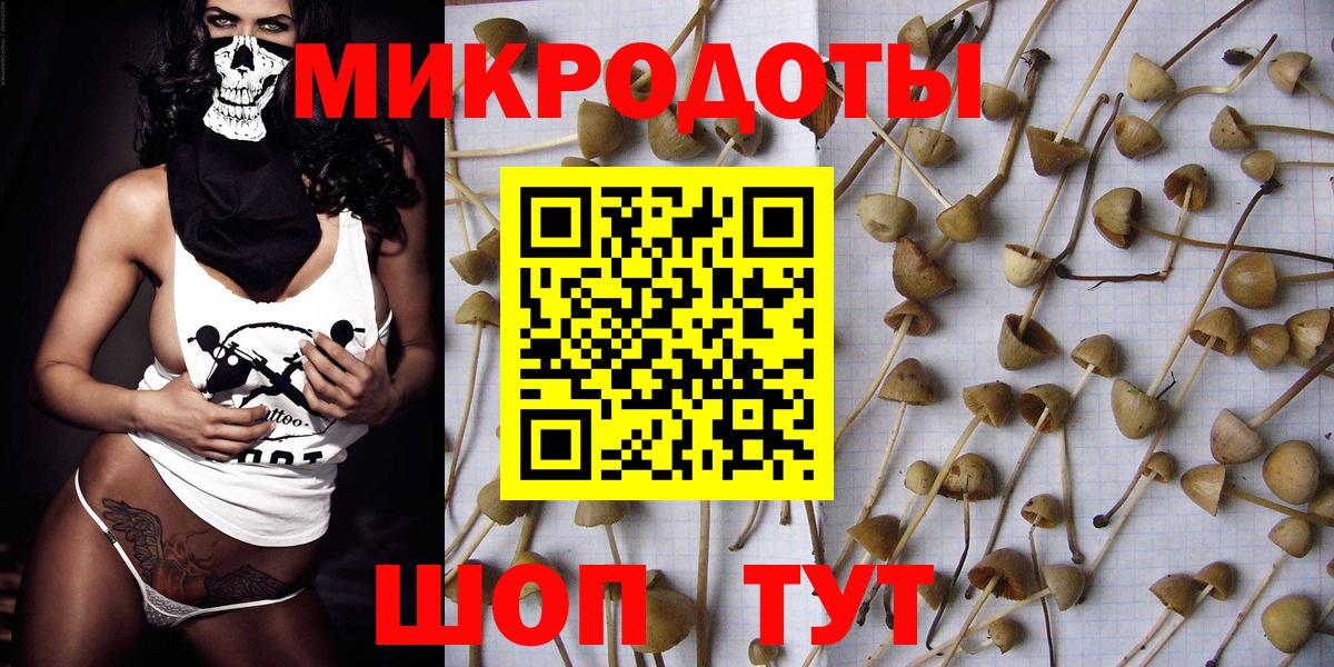 Псилоцибиновые грибы GOLDEN TEACHER  Псилоцибиновые грибы мухоморы  Когалым  купить закладку  Вход с VPN 