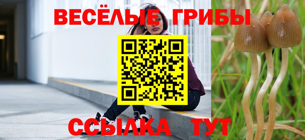 Галлюциногенные грибы MAGIC MUSHROOMS Когалым
