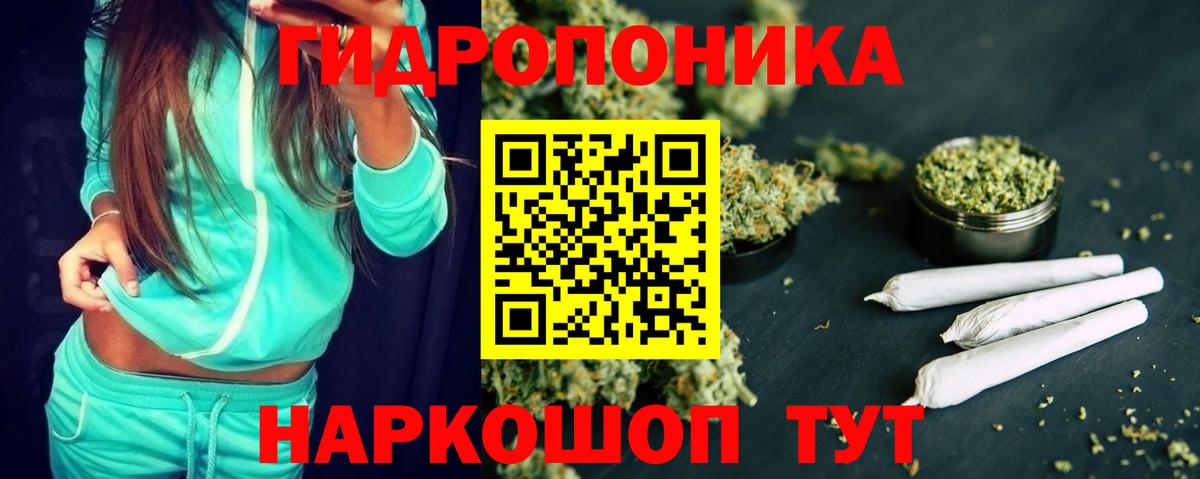 Марихуана план  Бошки Шишки план  Канабис тримм  Вход с VPN  Когалым 